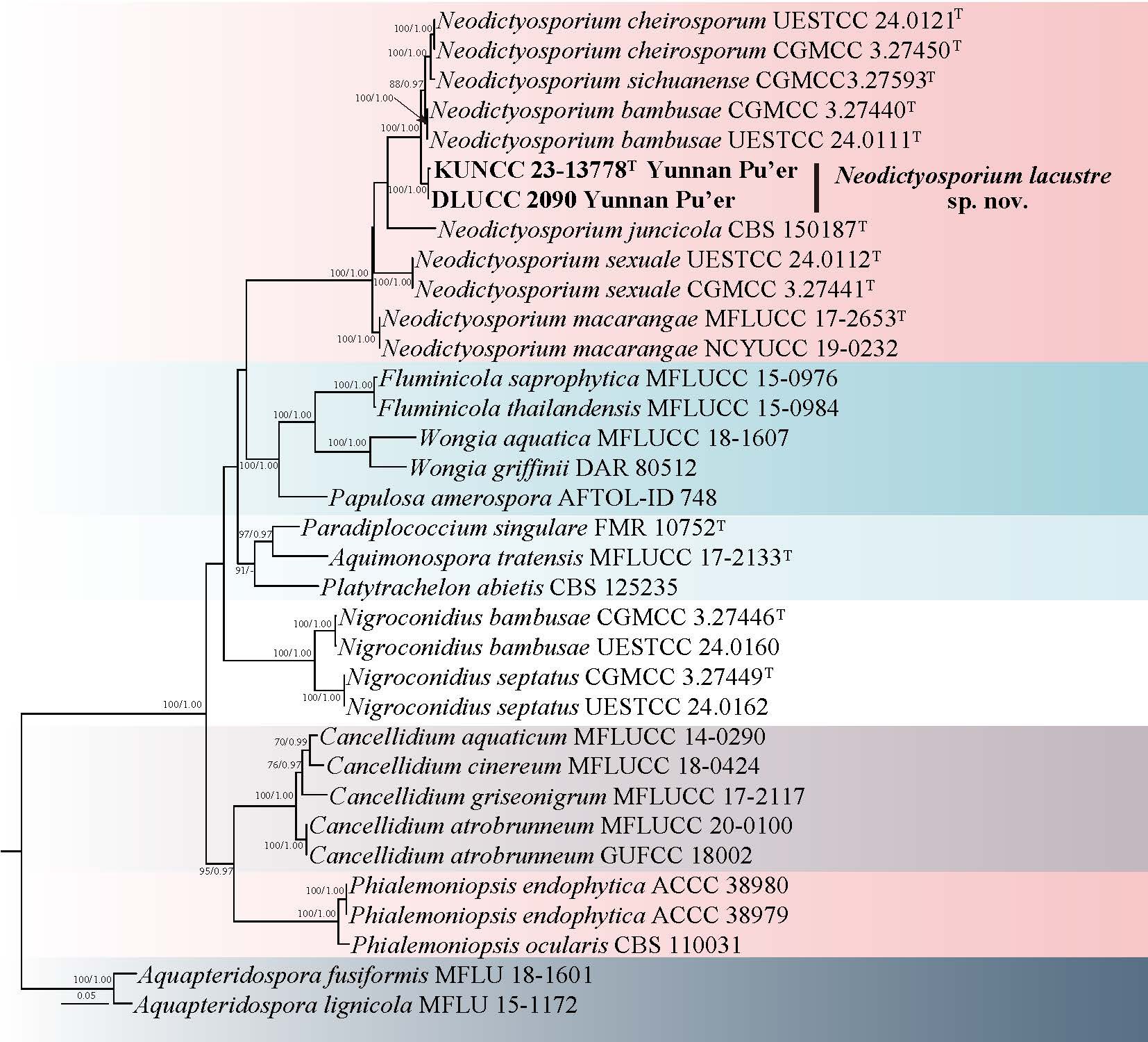 Figure 103